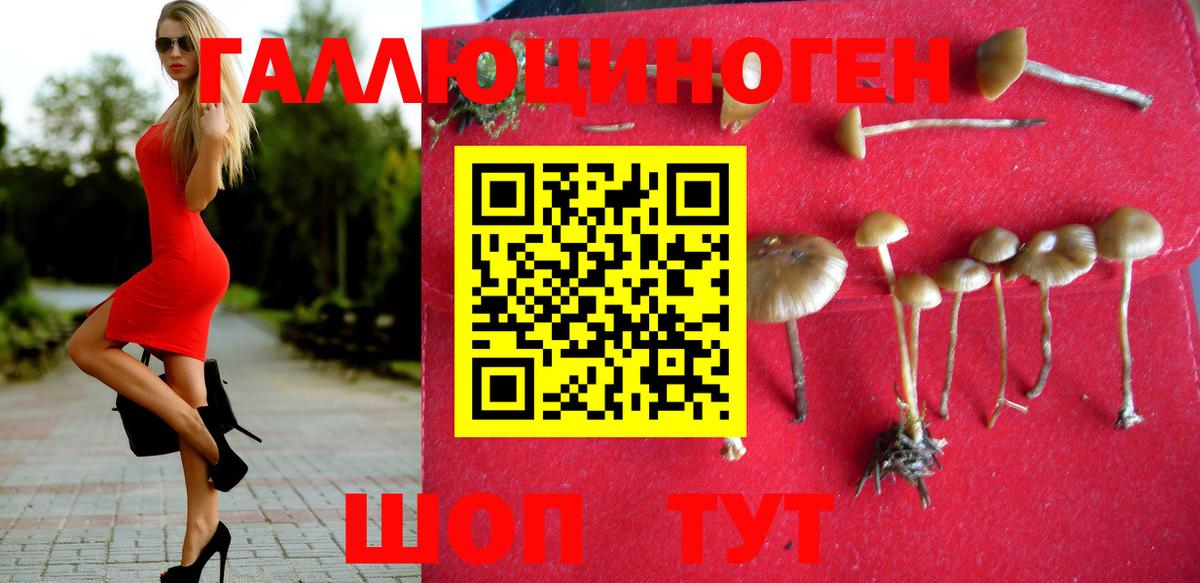 где можно купить наркотик  Псилоцибиновые грибы Psilocybe  Вход с VPN  Дедовск 